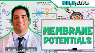 Neurology  Resting Membrane Graded Action Potentials [upl. by Joycelin]