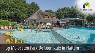 Welkom op Molecaten Park De Leemkule Hattem Veluwe [upl. by Gustafsson990]