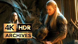 The Hobbit Desolation of Smaug  final scene HD 1080p [upl. by Fitzhugh860]