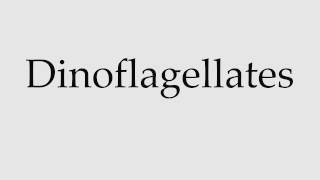 How to Pronounce Dinoflagellates [upl. by Sherye]