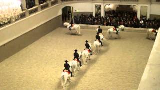 Spanish Riding School  Vienna HD [upl. by Cofsky]