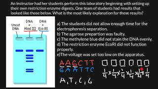 How to read gel electrophoresis results [upl. by Oremo]