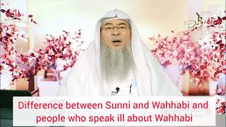 Difference between Sunni amp Wahabi and people who speak ill about Wahabis  Assim al hakeem [upl. by Lladnarc830]