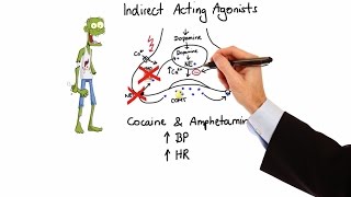 Pharmacology  ADRENERGIC RECEPTORS amp AGONISTS MADE EASY [upl. by Lanctot349]