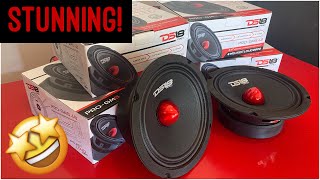 WOW DS18 ProGm 65” door speaker review midbass midrange [upl. by Nallid]