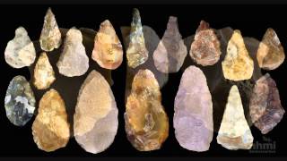 Stone Tool Technology of Our Human Ancestors — HHMI BioInteractive Video [upl. by Nodnorb393]