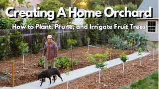 How to Plant Prune and Irrigate Fruit Trees EVERYTHING YOU NEED TO KNOW [upl. by Llebiram]