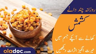 Kishmish Ke FaydeFawaid Urdu Hindi  Health Benefits of Raisins  Best Time To Eat Kishmish Daily [upl. by Lebanna]