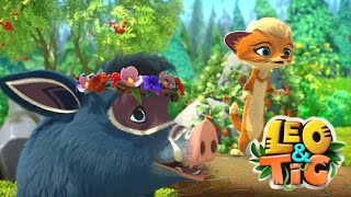 Leo and Tig 🦁 Summer best 🐯 Funny Family Good Animated Cartoon for Kids [upl. by Agostino449]