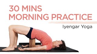 Iyengar Yoga for Beginners [upl. by Gotthelf]