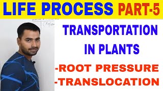 LIFE PROCESS TRANSPORTATION IN PLANTS PART 5 [upl. by Jamieson200]