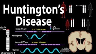 Huntingtons Disease Genetics Pathology and Symptoms Animation [upl. by Ailices]