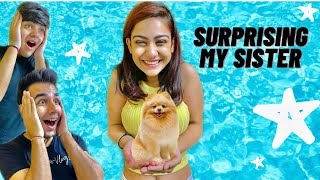 SURPRISING MY SISTER WITH A NEW DOG  Rimorav Vlogs [upl. by Auqenwahs]