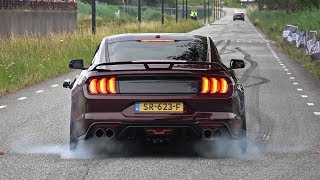 Ford Mustang 50 V8 Royal Crimson GT Performance  BURNOUT amp SOUND [upl. by Caundra247]