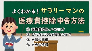 【確定申告】よくわかる！サラリーマンの医療費控除申告方法【令和元年分】 [upl. by Ellerred]