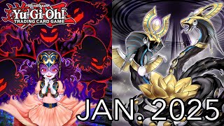 Reptilianne Ogdoadic Deck Profile January 2025 [upl. by Nightingale32]