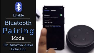 How to Put Amazon Echo Dot in Pairing Mode [upl. by Yecaw997]