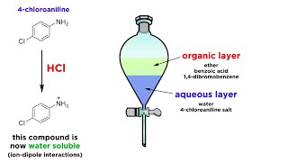 Separating Components of a Mixture by Extraction [upl. by Pius]