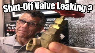 Leaky Shut Off Valve Repair [upl. by Deloris72]