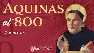 Cognition – “Aquinas at 800” Conference [upl. by Karoly607]