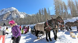 The hidden valley Alta Badia a ski run ending with a horse tow [upl. by Rostand]