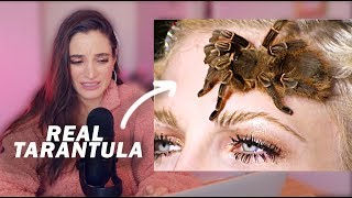 Photographer Reacts To SPIDER Photoshoot in Americas Next Top Model [upl. by Thorr966]