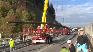 Deutschlands größter Maibaum 2017 aus Lautenbach  große Fällaktion [upl. by Jackson]