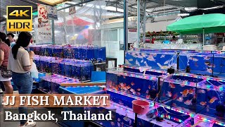 BANGKOK Chatuchak Fish Market quotLargest Fish Market In Bangkokquot  Thailand 4K HDR Walking Tour [upl. by Fritts]