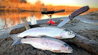 RAINBOW TROUT Fishing CLEAR REMOTE Creek Catch amp Cook [upl. by Calvinna]