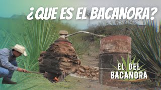 HISTORIA DEL BACANORA  El del Bacanora [upl. by Asiat]