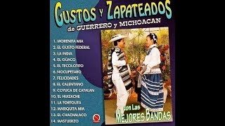 Gustos Y Zapateados De Guerrero Y Michoacán Vol 1 Album 2015 [upl. by Isa797]