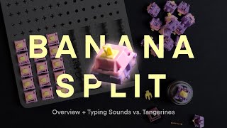 Is The Hype Real Banana Split Switch Overview [upl. by Hsirahc]