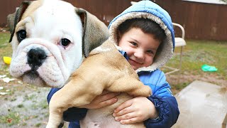 CALEB amp FUNNY PUPPY PLAY OUTSIDE IN MUDDY PUDDLES [upl. by Saunder]