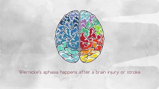 What Is Wernickes Aphasia [upl. by Ayotaj]