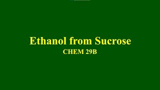 Ethanol from Sucrose [upl. by Sirraj608]