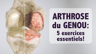 Arthrose du genou 5 exercices ESSENTIELS [upl. by Moyra]