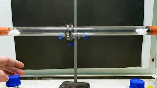 Ammonia and hydrogen chloride diffusion experiment [upl. by Idnek]