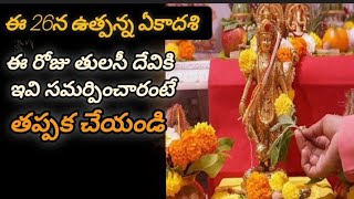 Utpanna Ekadashi  ఉత్పన్న ఏకాదశి utpannaekadashi2024 utpannaekadashivram ekadashiimportance [upl. by Egduj]