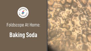 Foldscope at Home Baking Soda [upl. by Crane]