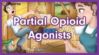 Partial Opioid Agonists Mnemonic for USMLE [upl. by Shirlie113]