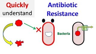 Antibiotic resistance [upl. by Pederson]