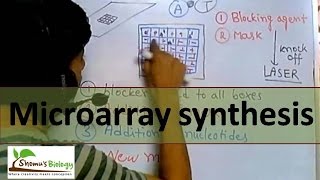 DNA Microarray synthesis [upl. by Neirad]