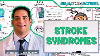 Understanding Cardiovascular Disease Visual Explanation for Students [upl. by Ettener37]