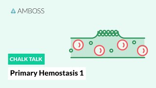 Primary Hemostasis  Part 1 Platelet Adhesion [upl. by Adamik]