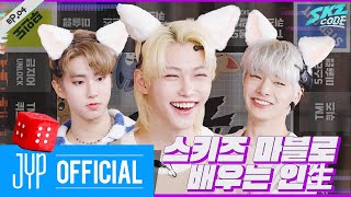 스키즈 마블로 배우는 인生 1｜SKZ CODE Ep04 [upl. by Eiggem]