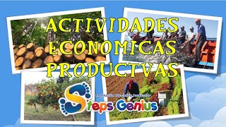 Actividades económicas productivas [upl. by Ainival701]