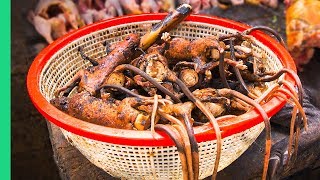 Bizarre Indonesian Jungle Food Welcome to EXTREME Indonesian Cooking in North Sulawesi [upl. by Durrej]