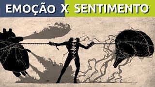 QUAL A DIFERENÇA ENTRE EMOÇÃO E SENTIMENTO  RODRIGO FONSECA [upl. by Isej]