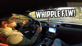 WHIPPLE SUPERCHARGED MUSTANG FIRST DRIVE REACTION From a ProCharged Mustang Owner [upl. by Tsew435]