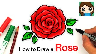 How to Draw an Open Rose EASY [upl. by Lund]